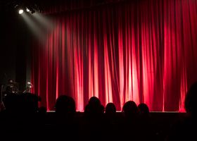 The Velvet Curtain